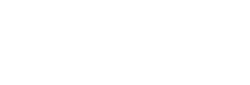 Project Media